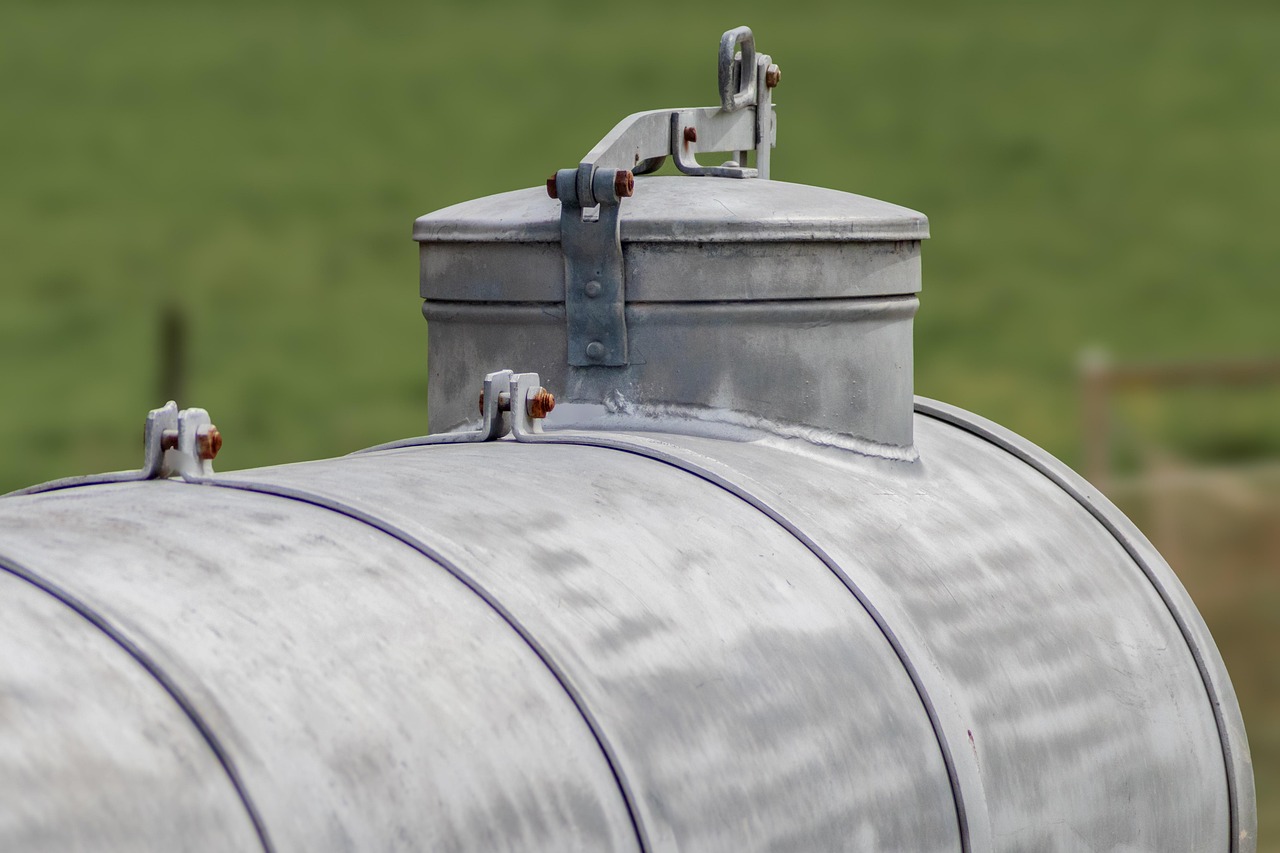 Signs of septic trouble in a Spartanburg yard